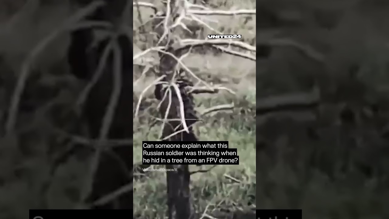 Russian Soldier Decided to Hide in a Tree From Ukrainian FPV Drone #warinukraine #drone