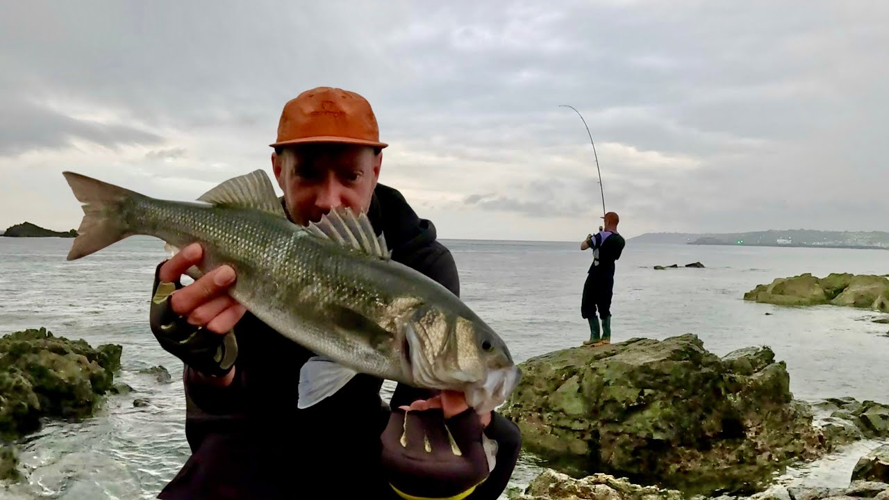 TOPWATER BASS FISHING WITH WAYLANDER LURES | LURE FISHING FOR BASS