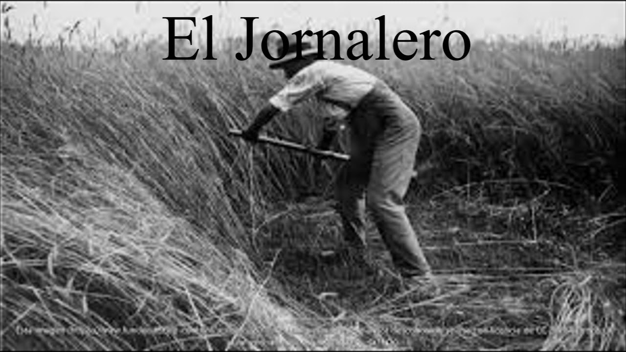 EL JORNALERO (Conjunto de Tucumán)