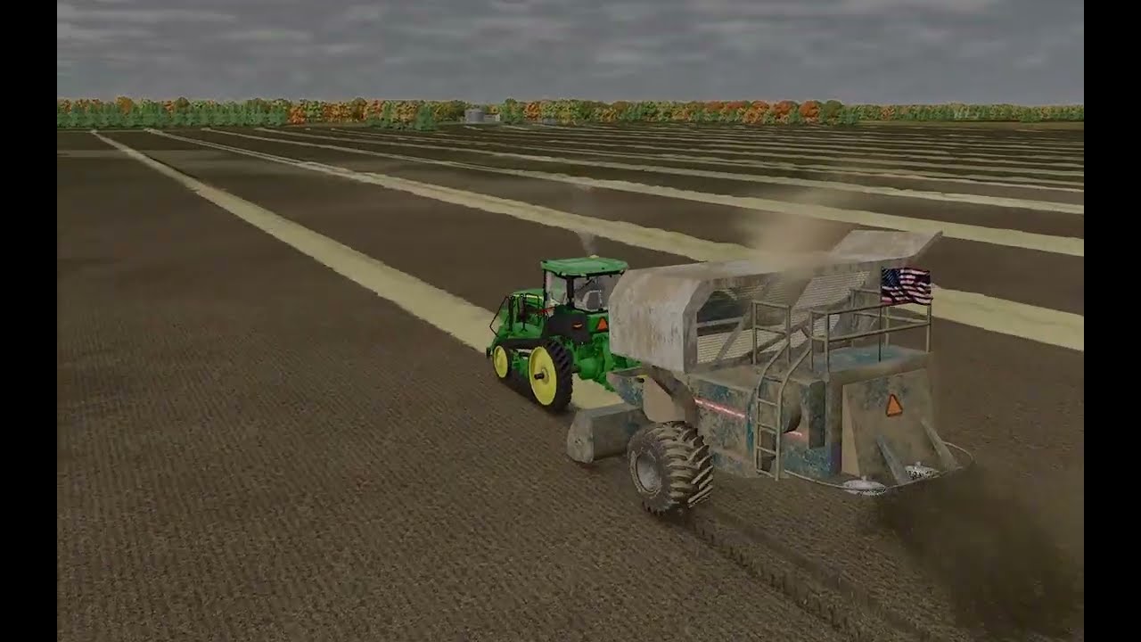 pinto bean harvest (time lapse)
