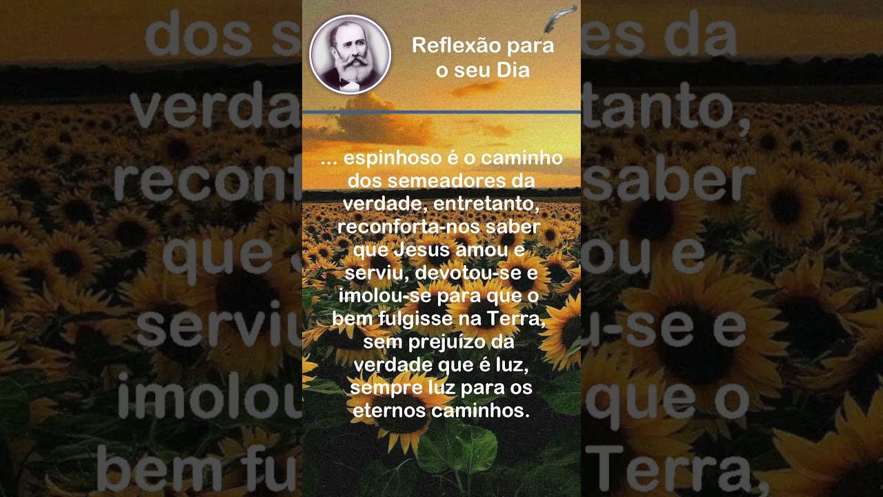 Sempre Luz - Bezerra de Menezes - #shorts #ceecal #ceecalemfoco #tvceecal