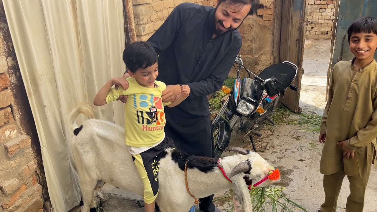 Humaray Bakray Aa Gae 🐄🐐😍 | Bakra EID Vlog | Eid ul Adha | Zakir Sahjee Vlogs