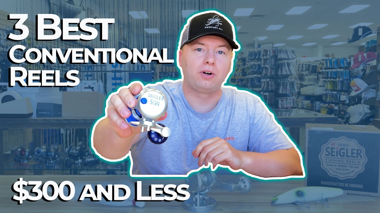 The BEST 3 Saltwater Conventional Reels $300 and Under