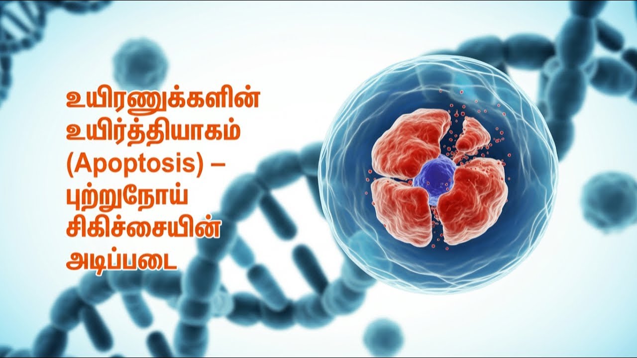 புற்றுநோயை தடுக்க உயிரணுக்களின் உயிர்த்தியாகத்தை புரிந்துகொள்ளுங்கள்