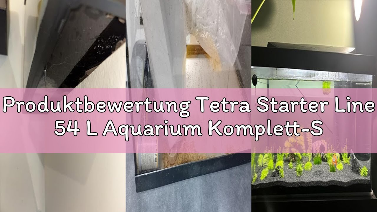Produktbewertung Tetra Starter Line 54 L Aquarium Komplett-Set - inkl. Tag- & Nachtlicht LED-Beleuch
