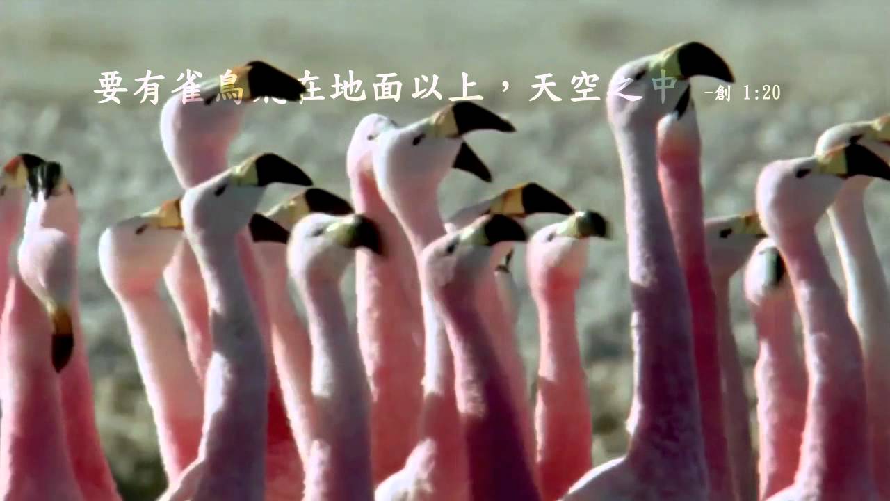 神的創造