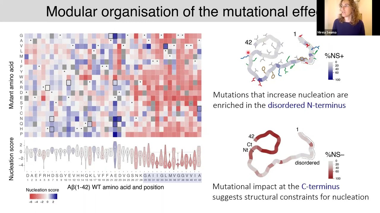 [Mireia Seuma] An Atlas of Amyloid Aggregation
