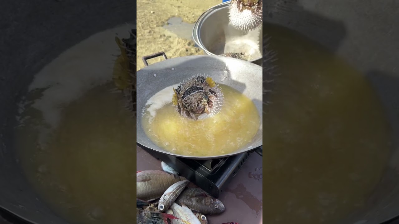 Live puffer fish being fried #shorts #fyp