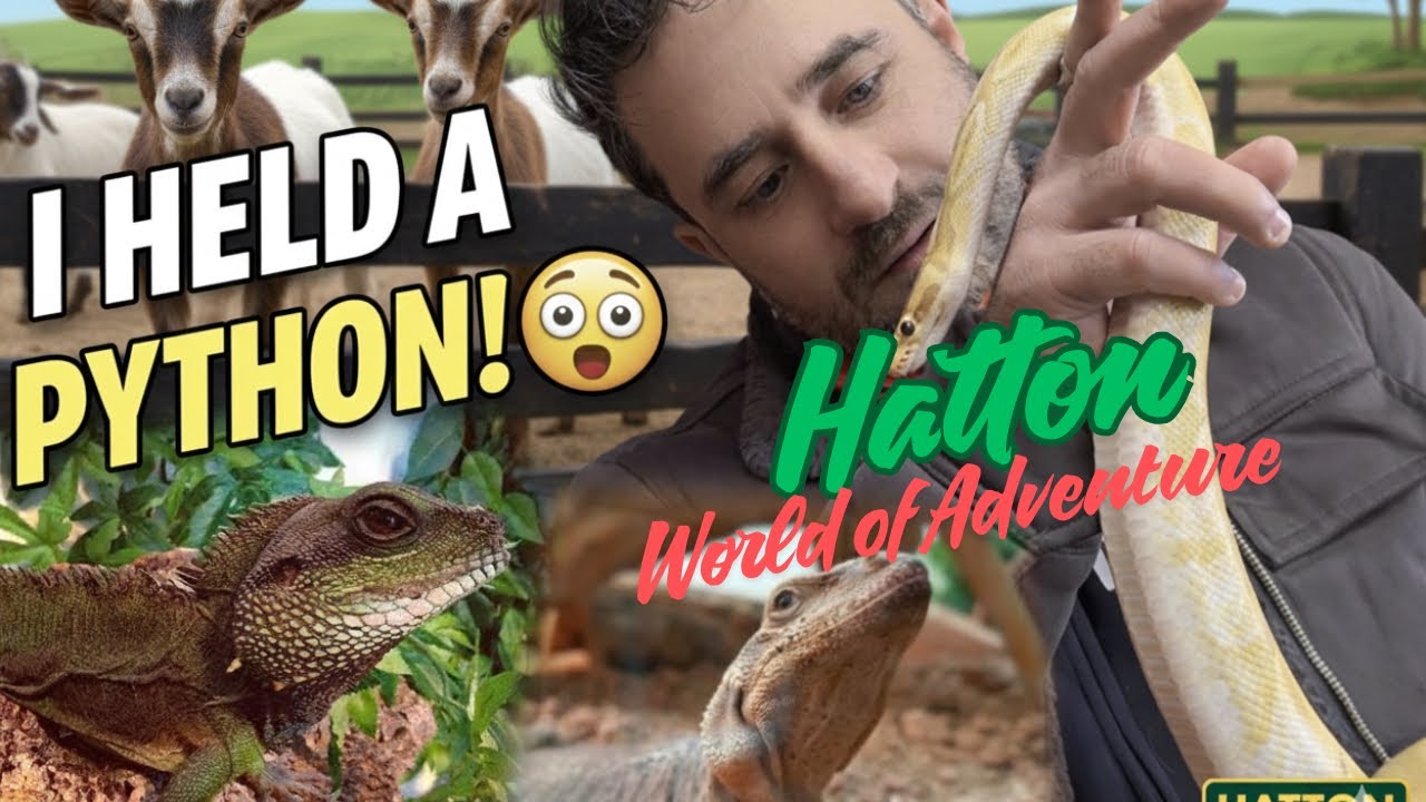 Holding a Python at Hatton Adventure World 😱 | Family Vlog Part 1