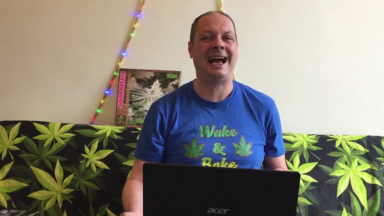 UrbanGenoHunters Baklava Strain Review