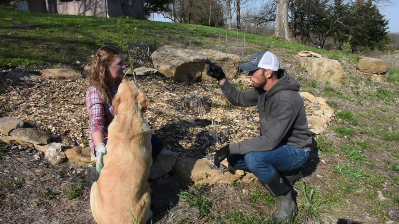 Applonia Farm Tour