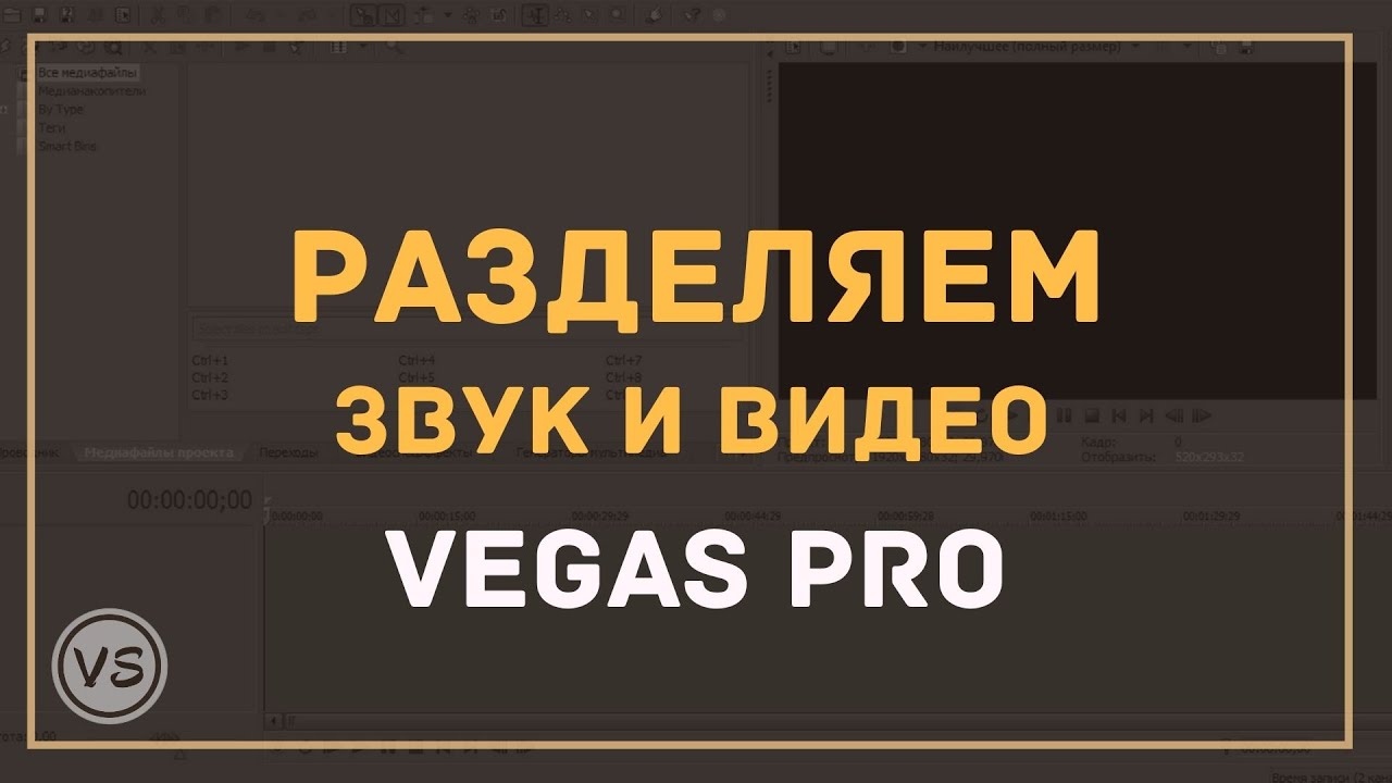 13. Как отделить звук от видео в Vegas Pro. Как удалить звуковую дорожку в Sony Vegas