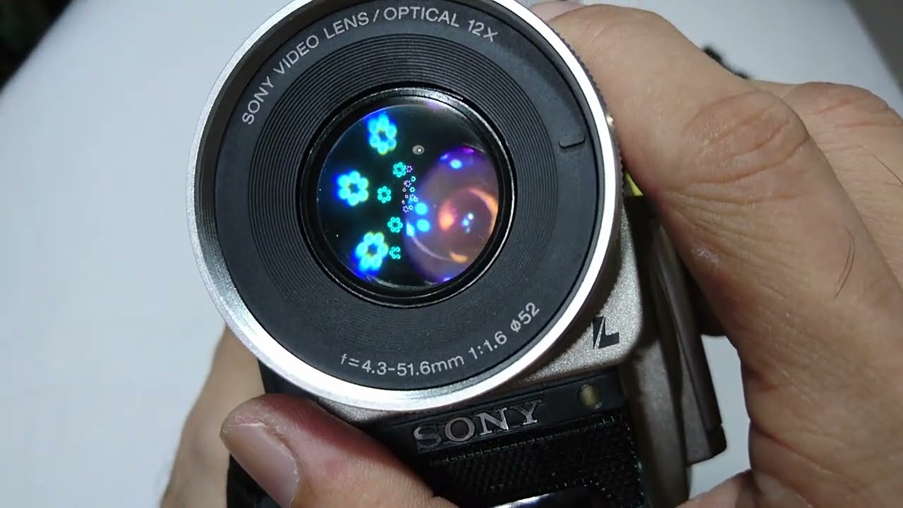 burnt LCD | Sony DCR-TRV900 Mini DV Handycam