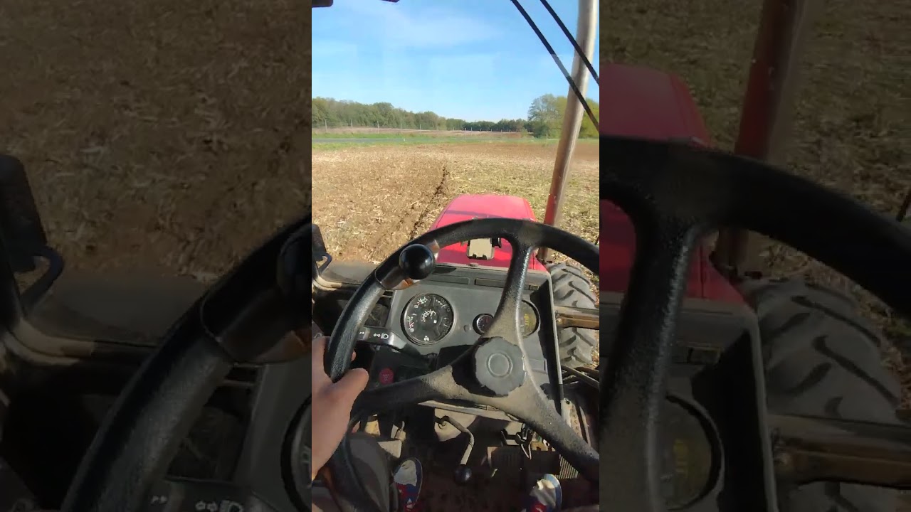 Kukorica tarló tárcsázás. MTZ 920.3 +2.8m V tárcsa .