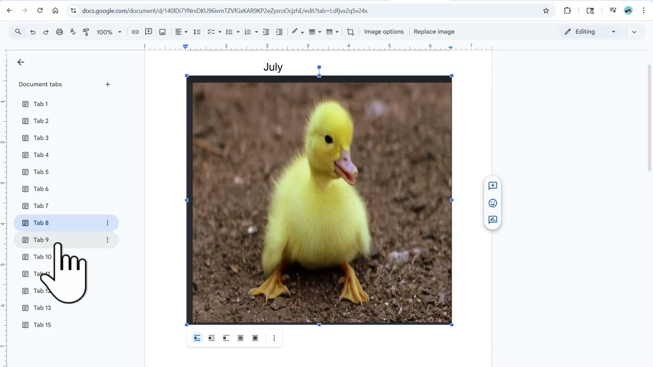 Your Moth Your Duck!