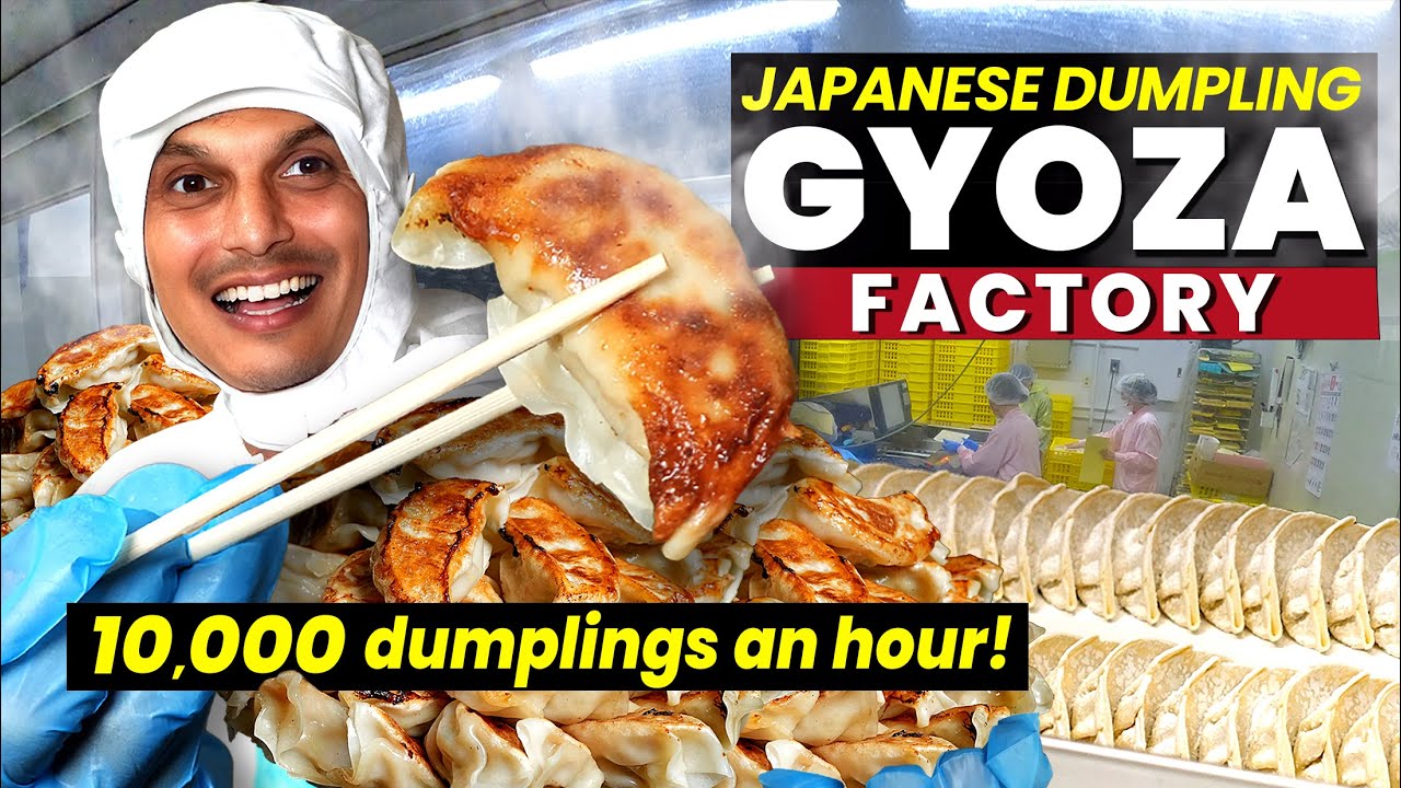 Inside a Japanese GYOZA DUMPLING Factory ★ ONLY in JAPAN