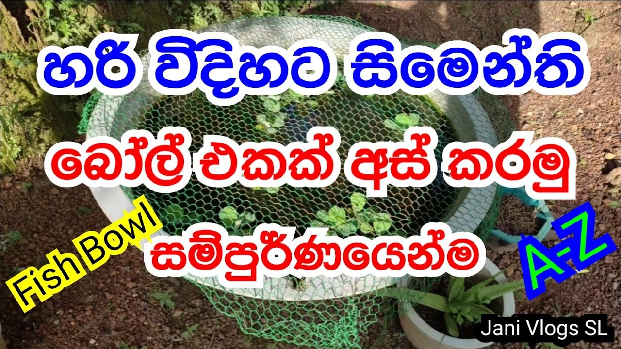 Cement Bowl Cleaning | Fish Bowl Cleaning | හරි විදිහට සිමෙන්ති බෝල් එක අස් කරමු | Jani Vlogs SL