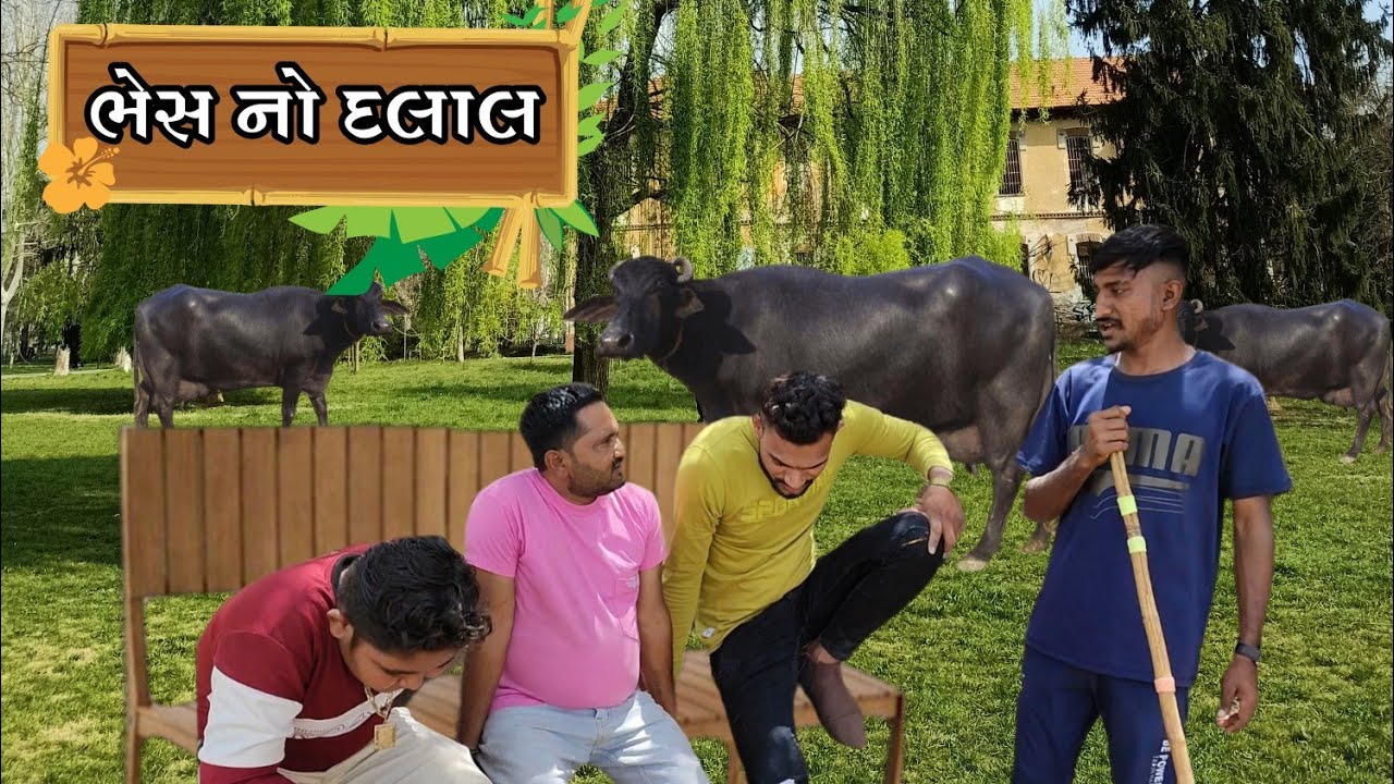 ભેસ નું હાટુ || Gujarti Full Comedy || @Sanjaygadhvidesiboy