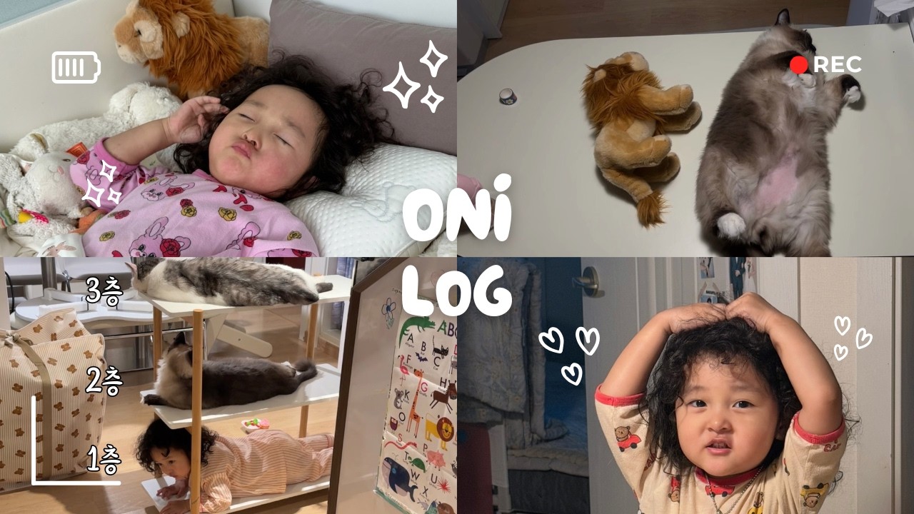 [VLOG] 오니+고양이 조합 요청이 많아서(2명) 브이로그 낋여옴🤳🏻