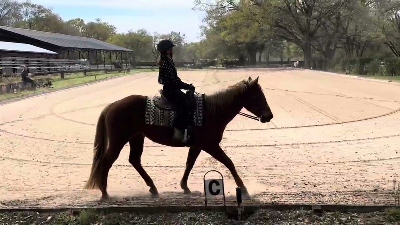 Western Dressage Intro 3: Abby & Camilla 3/18/26