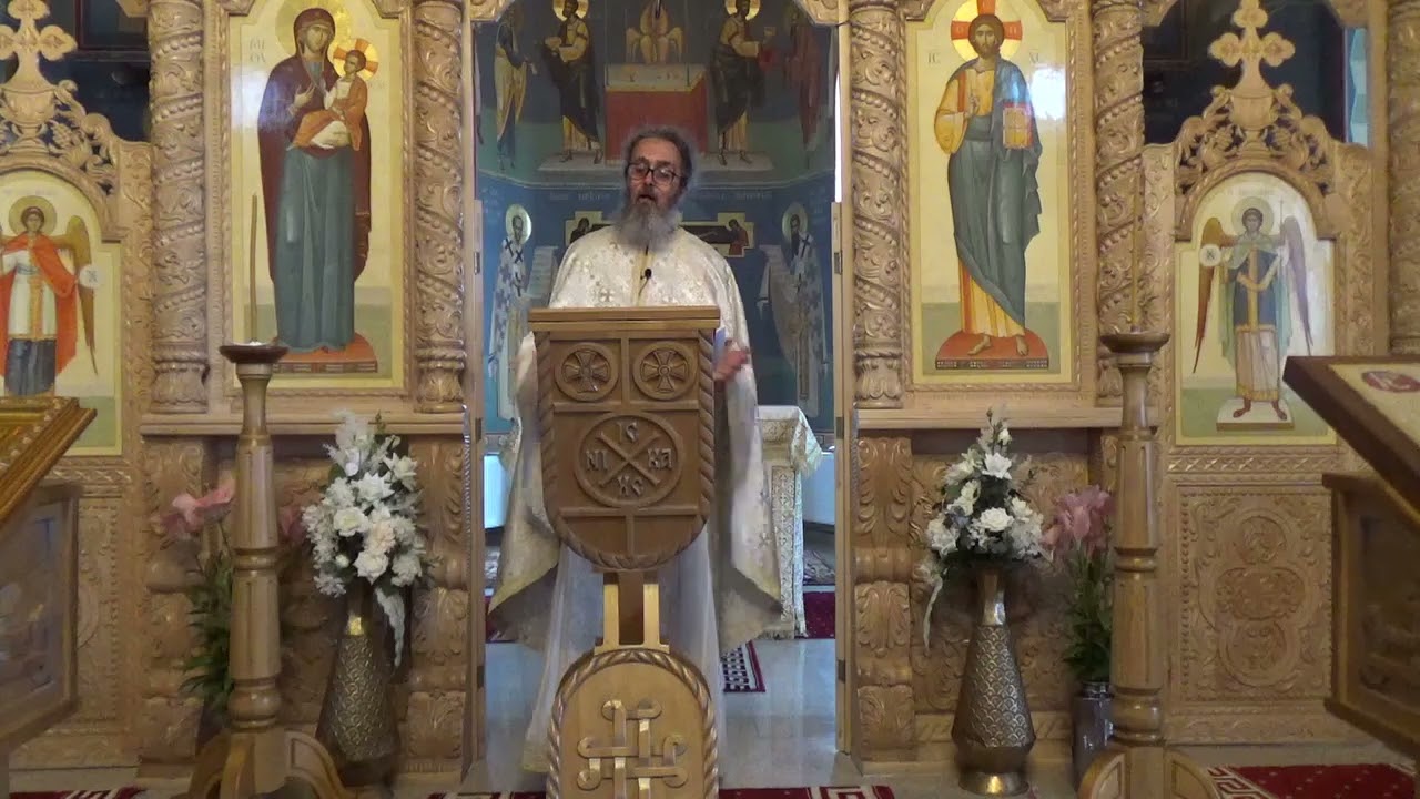 Pr. Dan Popovici – Omagiu Maestrului la 20 de ani de la plecarea lui avva Ghelasie de la Frăsinei