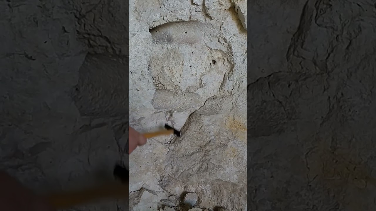 Lucius Sestertius two gold coins their discovery 161-166 ad (4)