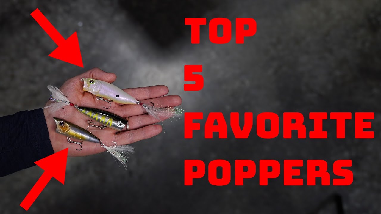 Our Top 5 Favorite Poppers To Catch Bass All Year Round!