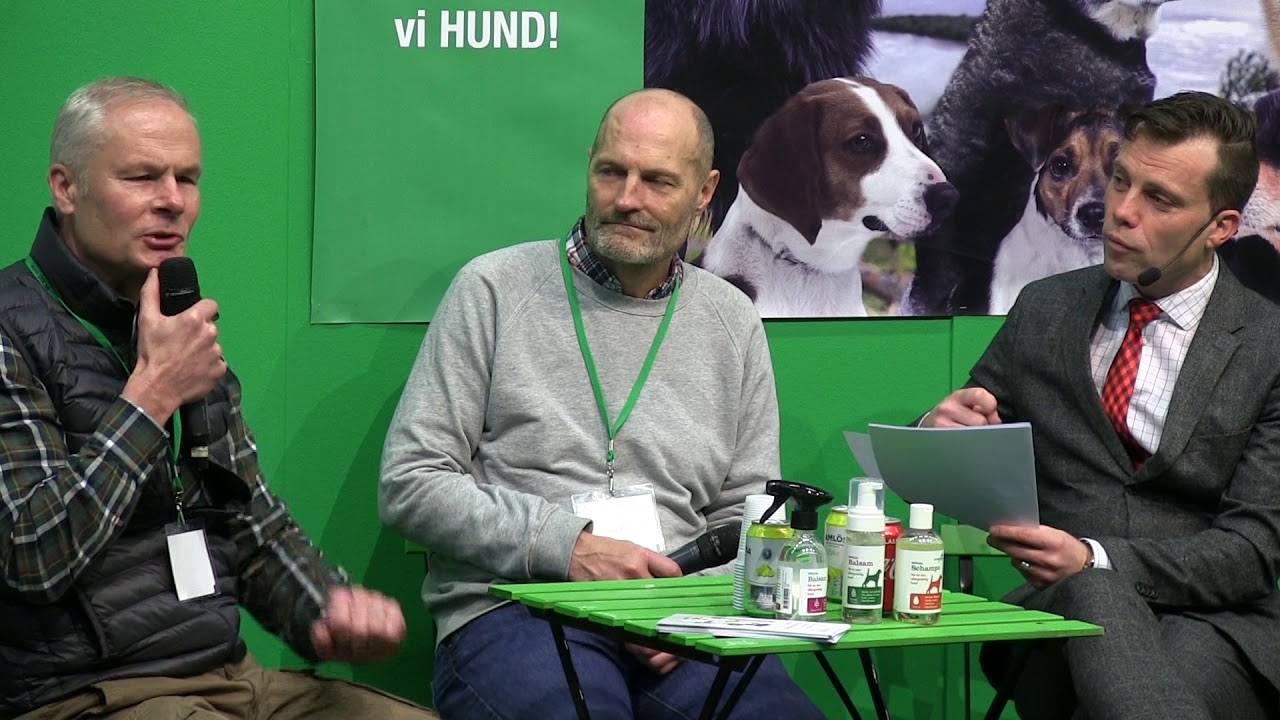 Hundallergi