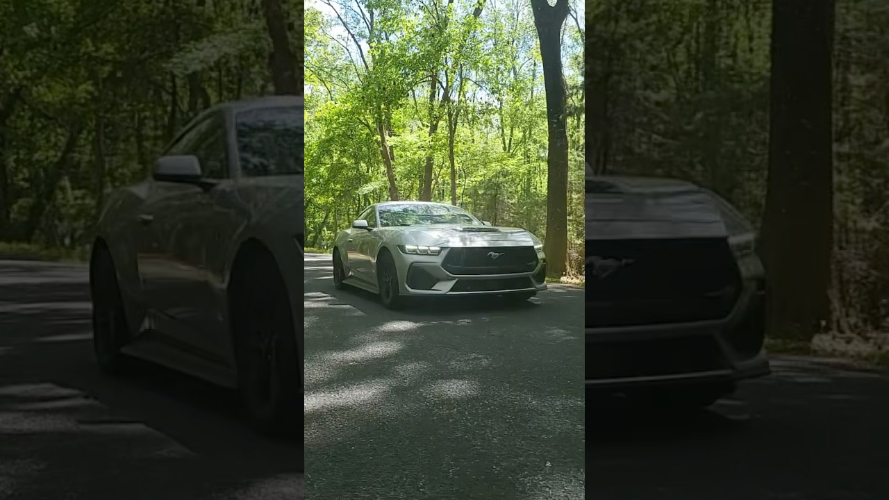Mustang #s650 with active exhaust & Ford performance resonator delete #s650 #fordperformance