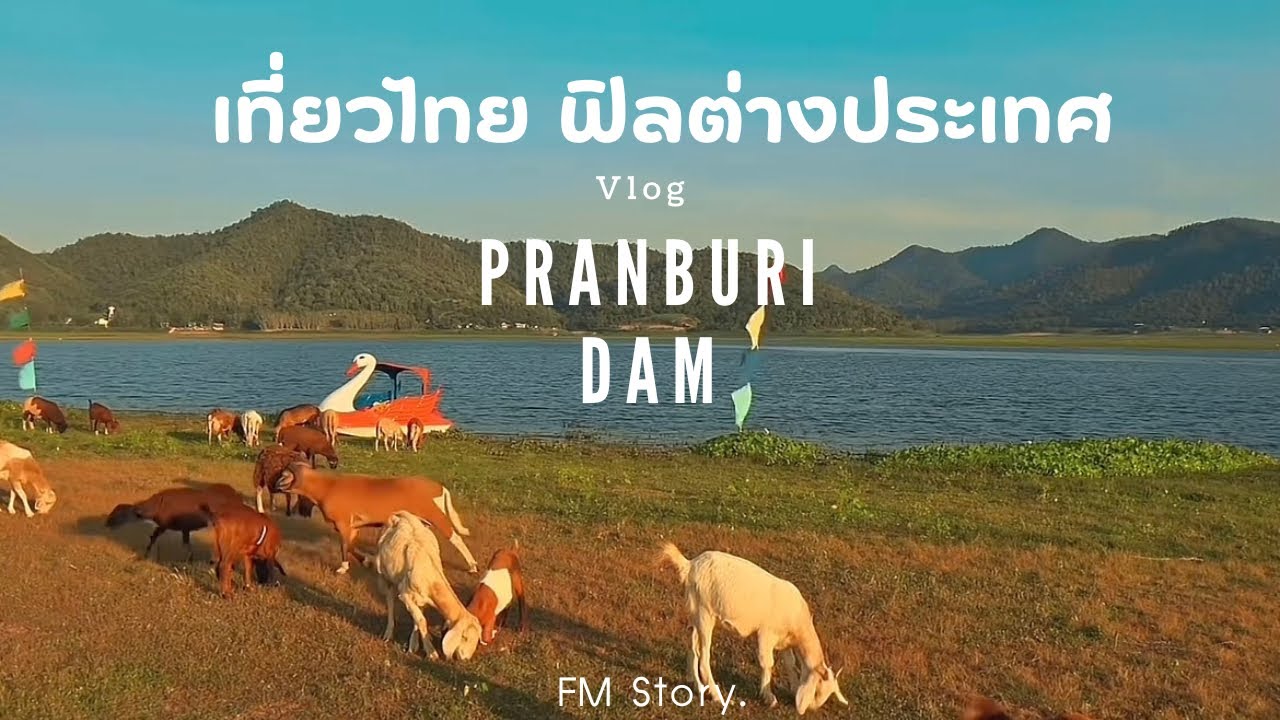 Vlog Pranburi dam | เที่ยวเขื่อนปราณบุรี ให้อาหารน้องแพะ น้องแกะ ชมวิวฮีลใจ🐏⛰️🌲✨⛅️ #vlog