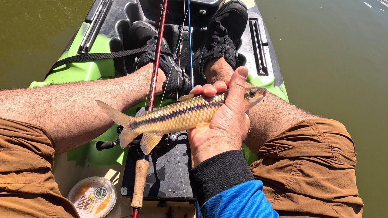 Experimentei COMIDA LIOFILIZADA pela primeira vez na PESCARIA E ACAMPAMENTO no Rio das Velhas-MG