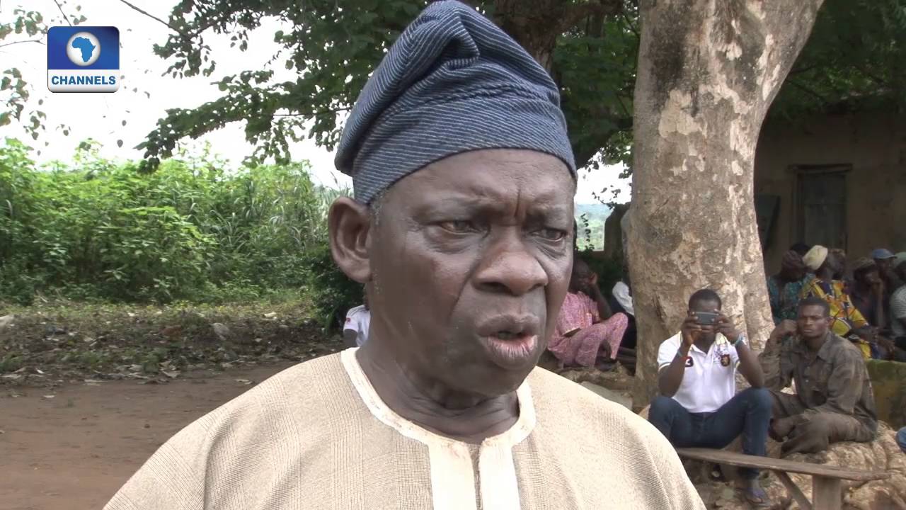 Special Report: Farmers Decry Destruction Of Crops  By Cattle Pt.1 19/02/16