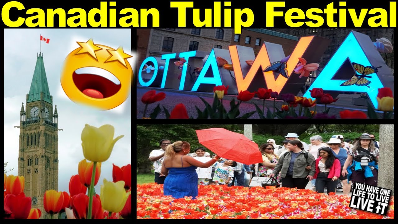 EPIC CANADIAN TULIP FESTIVAL | Ottawa, Canada | Things you Must See