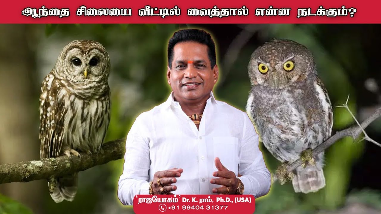ஆந்தை சிலையை வீட்டில் வைத்தால் என்ன நடக்கும் ! Aanmeega Thagaval | Rajayogam #owl #dosham #vastutips