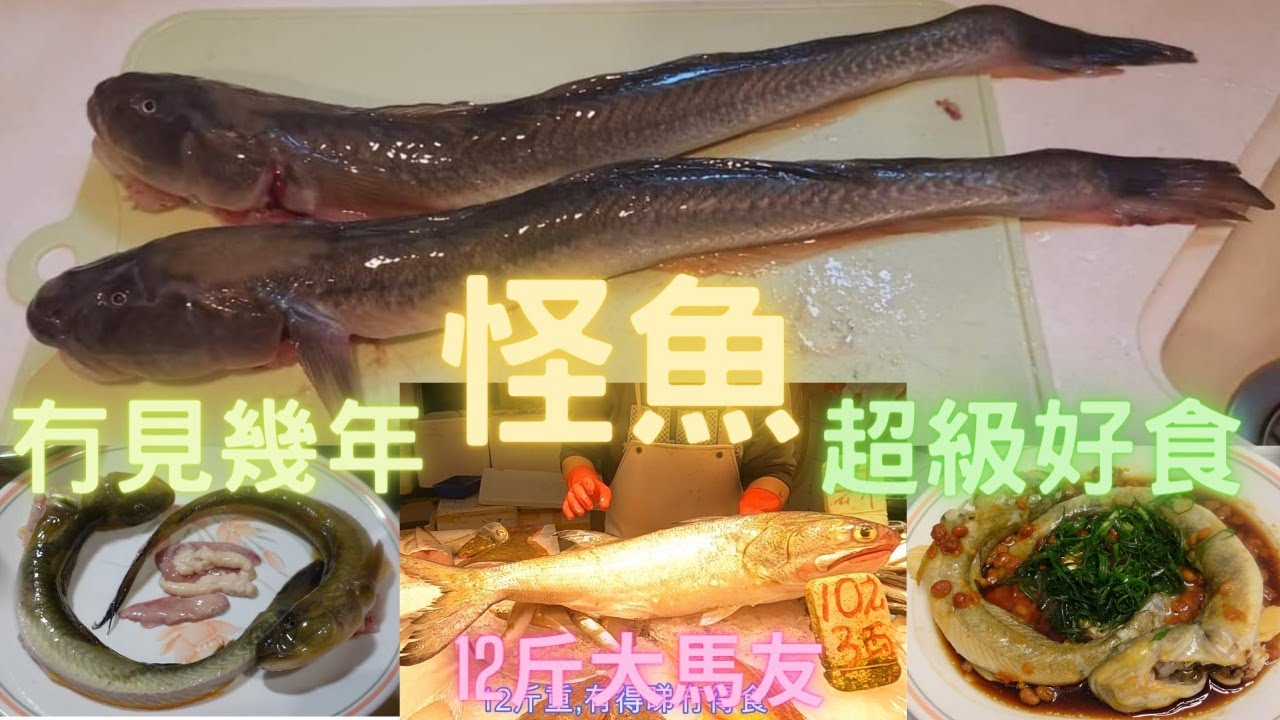 幾年冇見,雖然樣子古怪(#冧哥,沙光魚,矛尾復蝦虎魚)但食味驚為天人😍超級滑肉,有魚味,重有陣甜甜地香味,見到超級開心,即刻買,香港海鮮~社長遊街市(Hong Kong Seafood Market)
