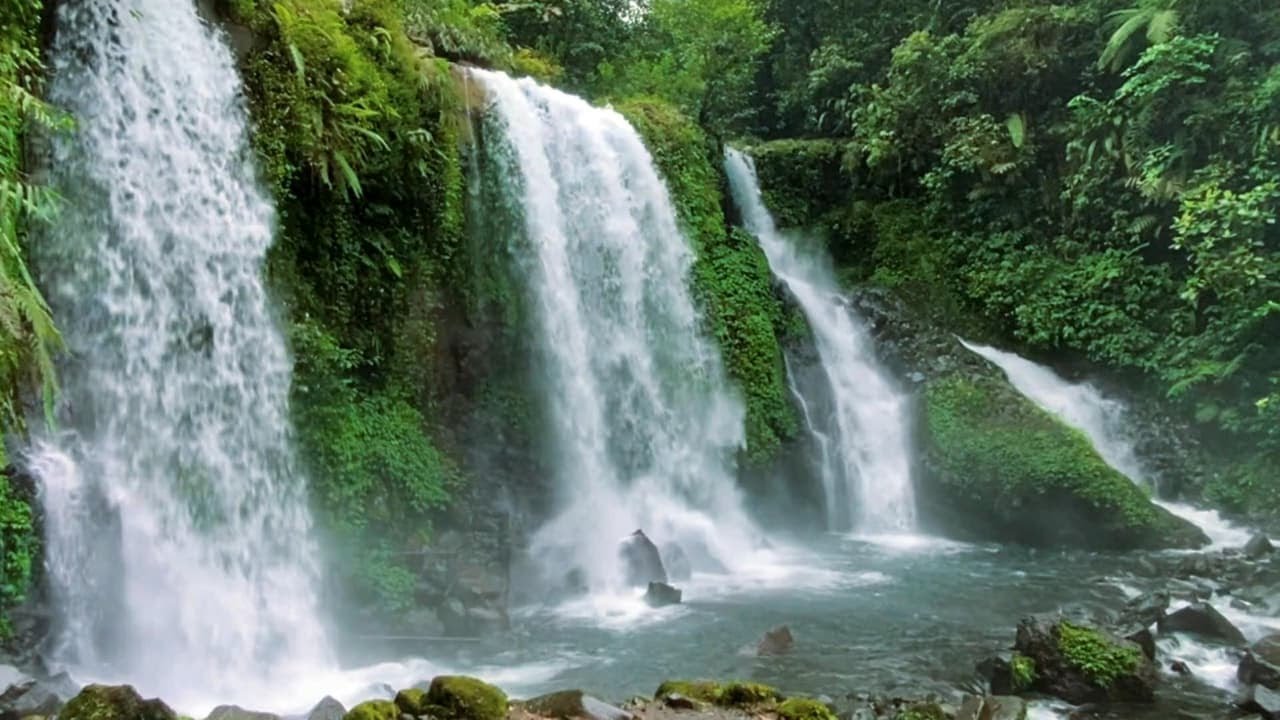 Calming Night Waterfall Sounds 🌌 Nature Therapy for Anxiety & Insomnia