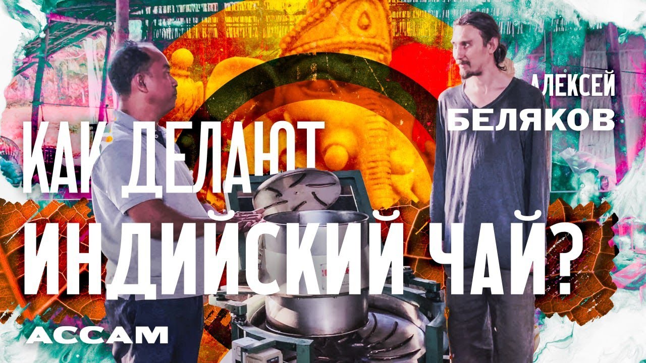 Ассам. Как делают индийский чай? Алексей Беляков