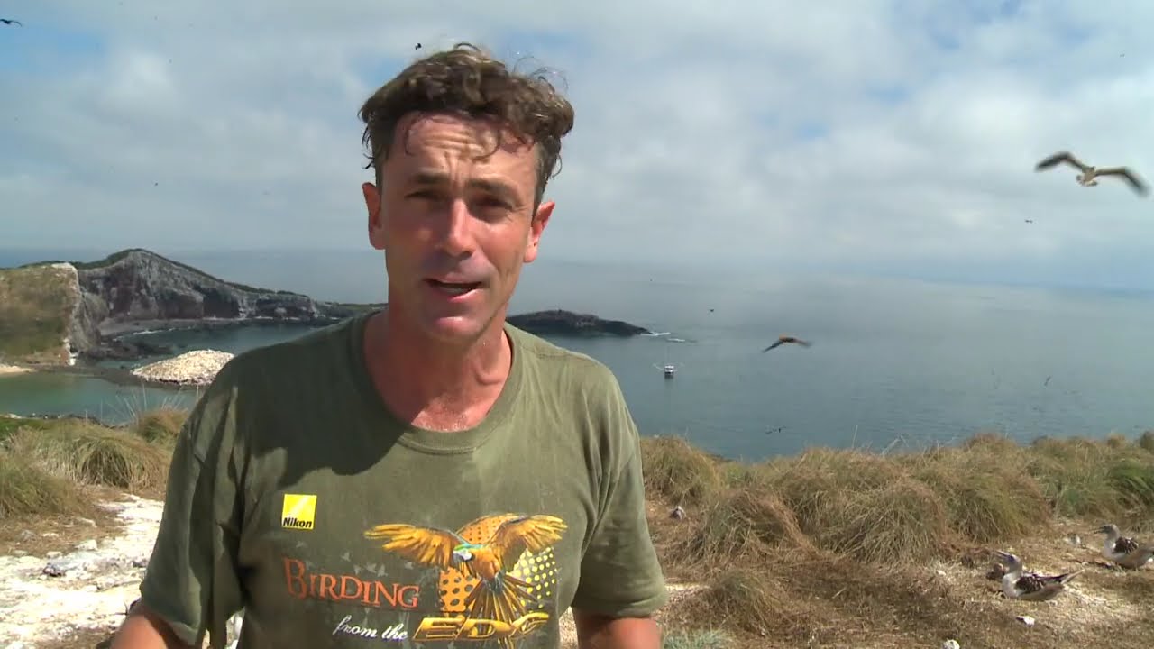 BIRDING SAN BLAS, RIVIERA NAYARIT, MEXICO & ISLA ISABEL