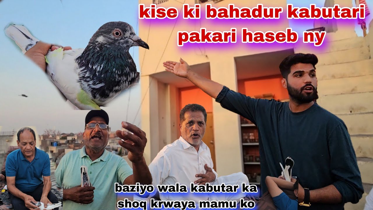 Haseeb ny kise ki bahadur kabutari pakar li😵mamu ko baziya waly kabutaro ka shoq krwaya😯