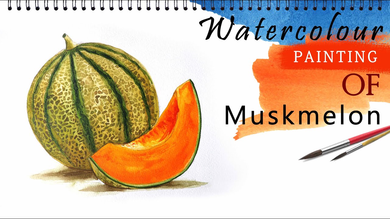 How to paint muskmelon in watercolor | Muskmelon | muskmelon painting | watercolor tutorial | fruit