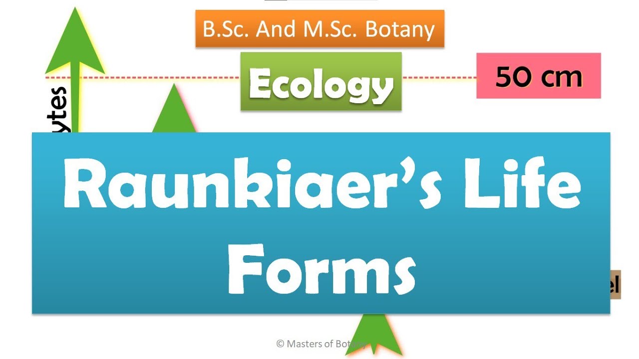 Raunkiaer's Life Forms | Ecology | B.Sc. & M.Sc. Botany