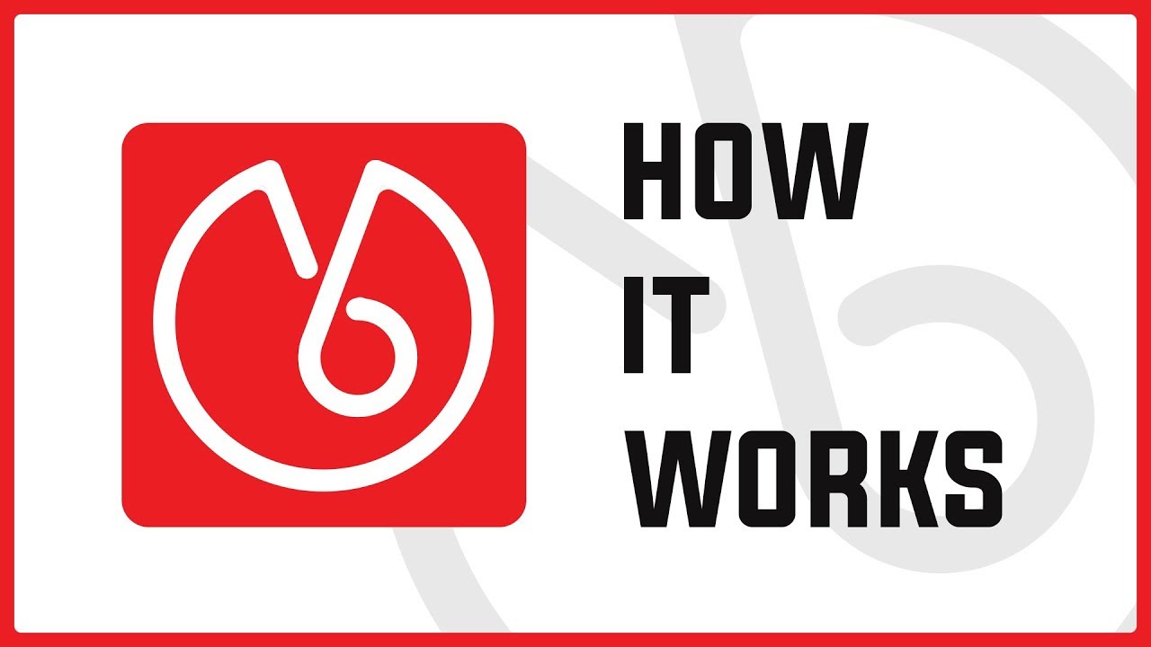 YBO Marketing Service Video