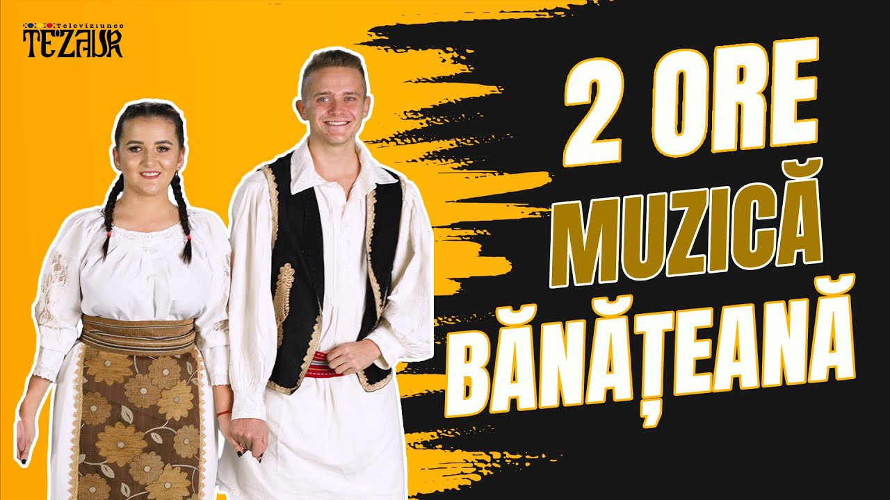 2 ORE MUZICA DIN BANAT || Colaj muzica populara banateana