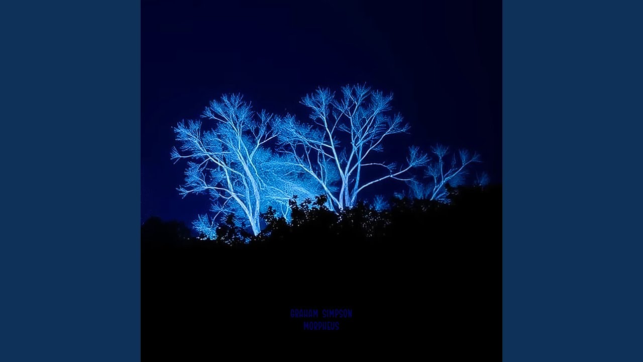 Transient Luminous Events