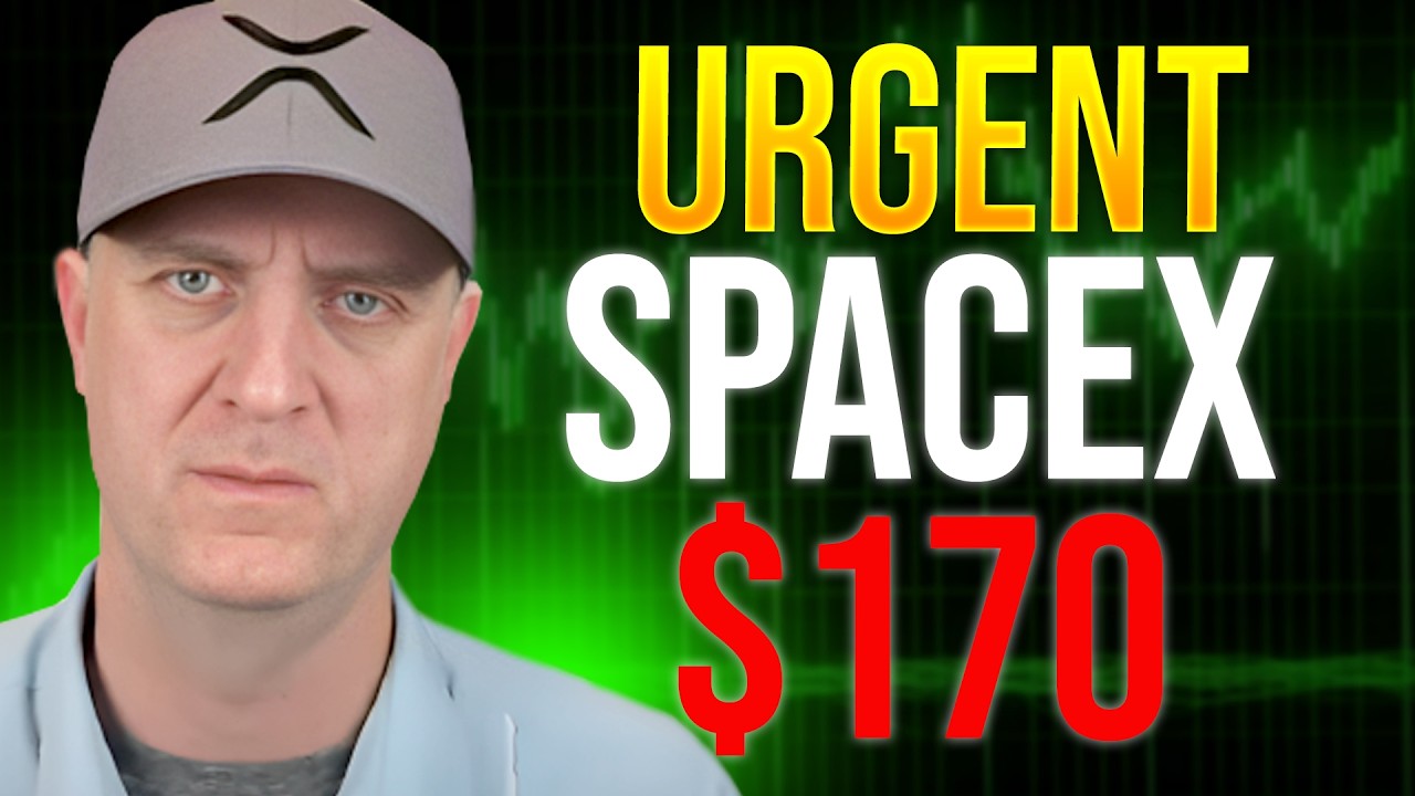 Прежде чем покупать акции SpaceX на IPO 🚨 Узнай ЭТО первым ‼️
