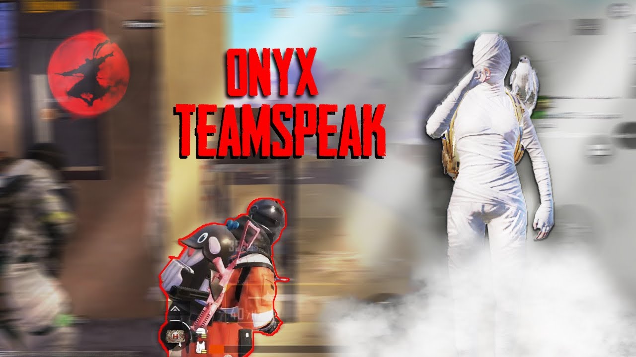 TEAM ONYX | TEAMSPEAK OF PMWI WORLD FINAL | WWCD