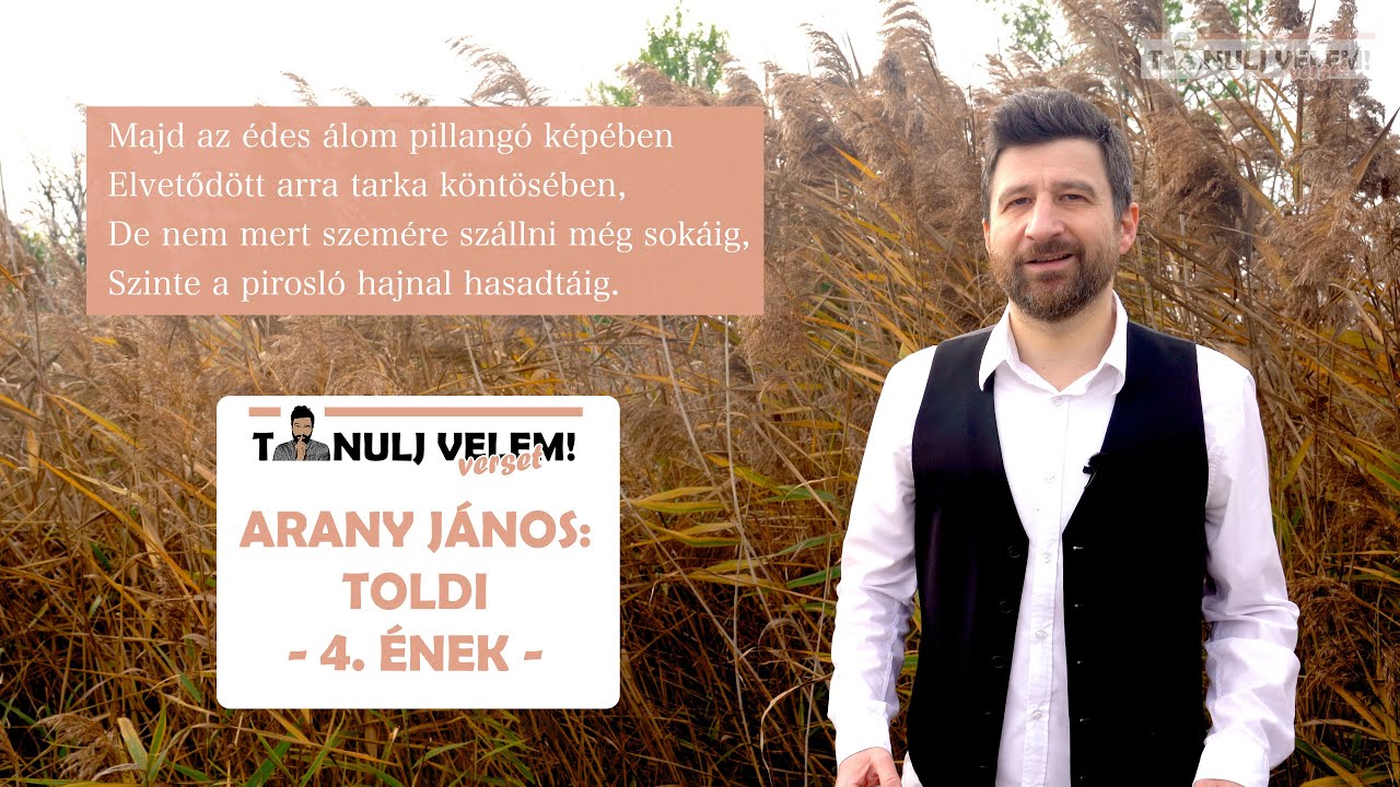 Arany J&aacute;nos - Toldi - Negyedik &eacute;nek