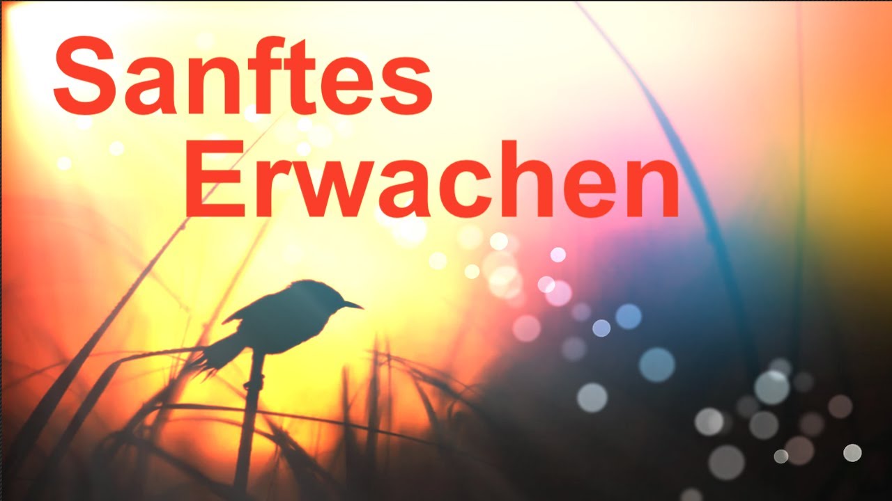 Morgenmusik f&uuml;r positive Energie ☀️ sanftes Erwachen in der Natur