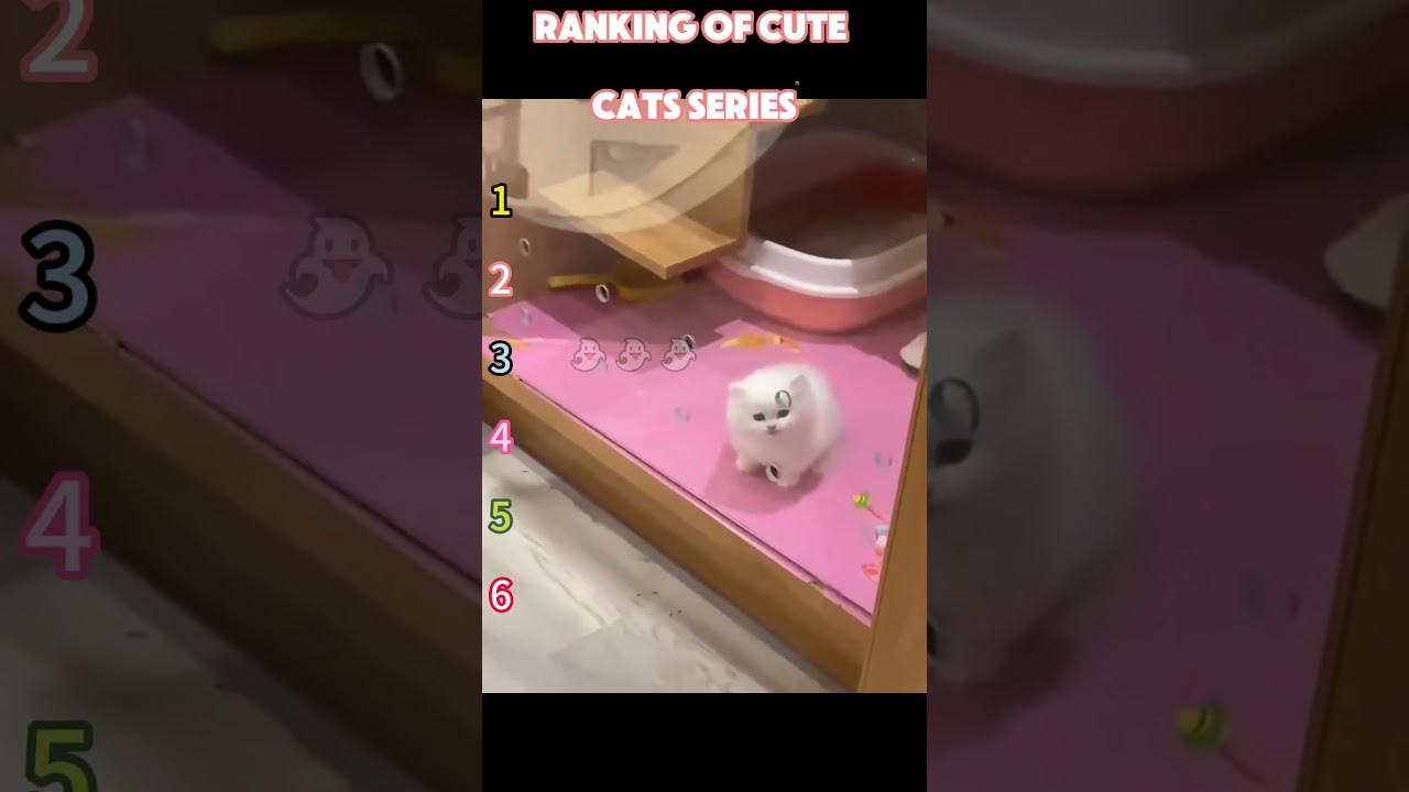 #moments#funny #ranking #shorts