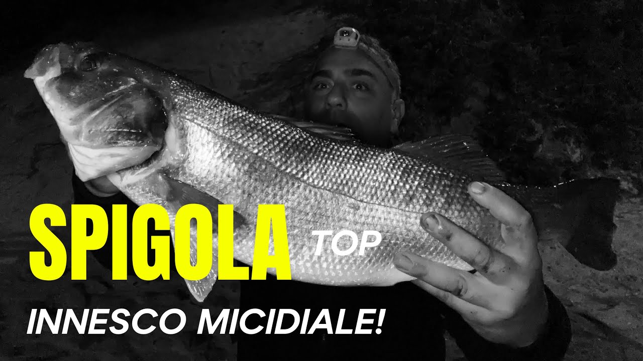 SPIGOLA a SURFCASTING NELLA SCADUTA PERFETTA